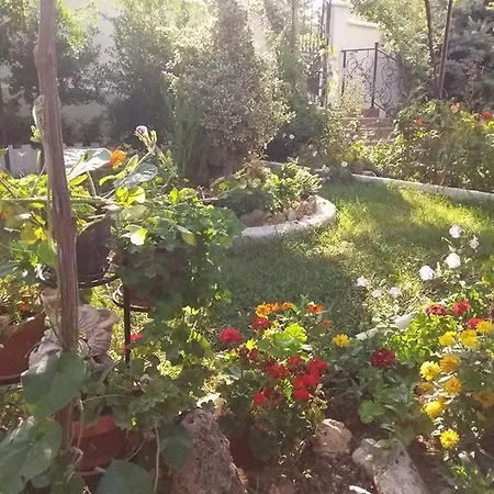 Veska Byala (Varna)